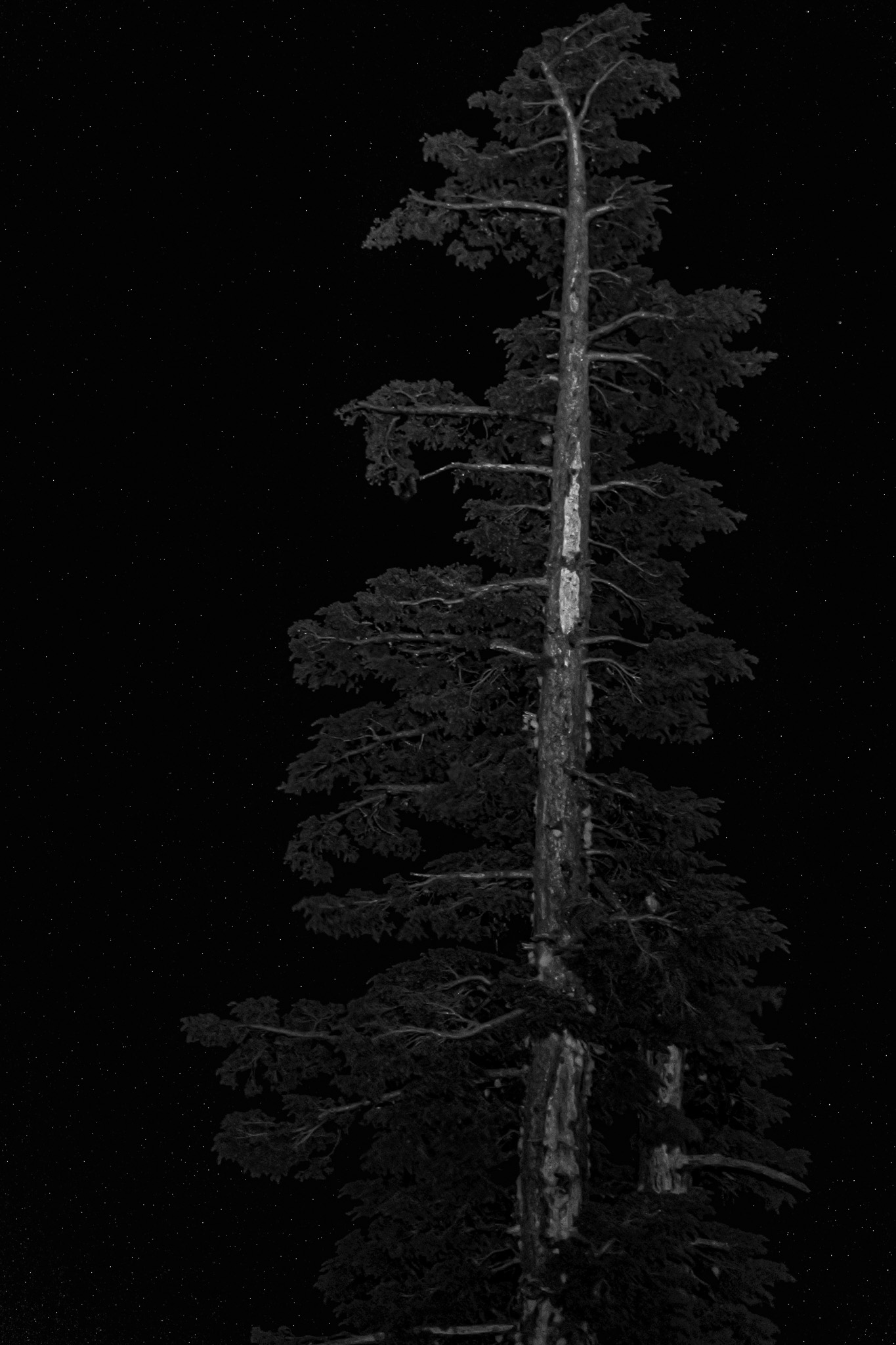 Crater Lake - Saguaro